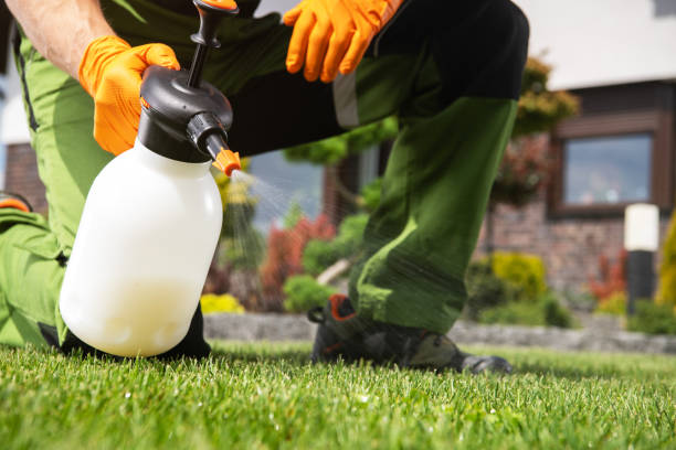 Best Best Pest Control Companies  in Canyonville, OR