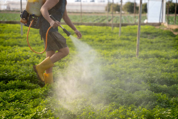 Best Residential Pest Control  in Canyonville, OR