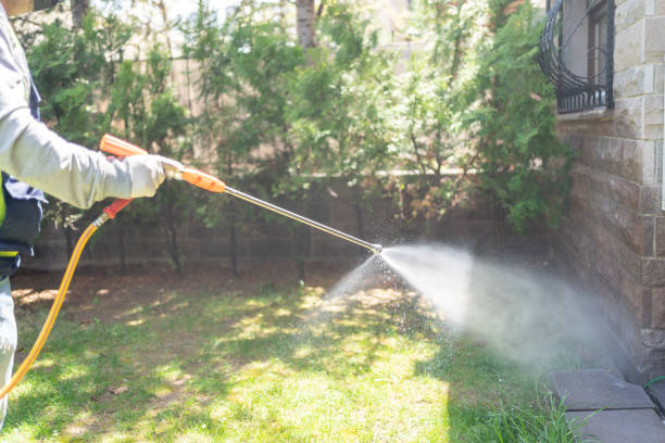 Best Affordable Pest Control Services  in Canyonville, OR