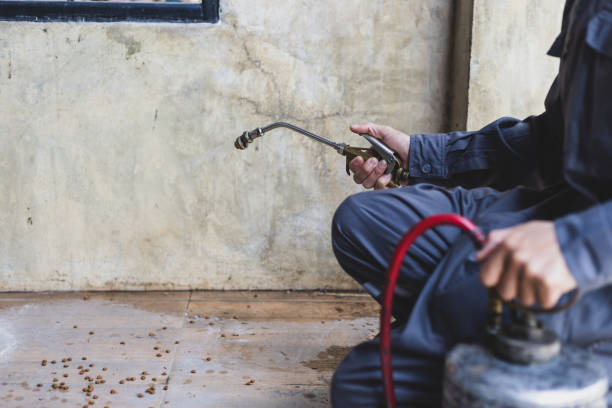 Best Pest Control Near Me  in Canyonville, OR